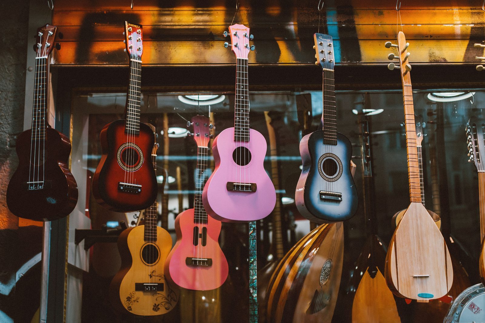 Your Guide to Student Orchestra Instruments